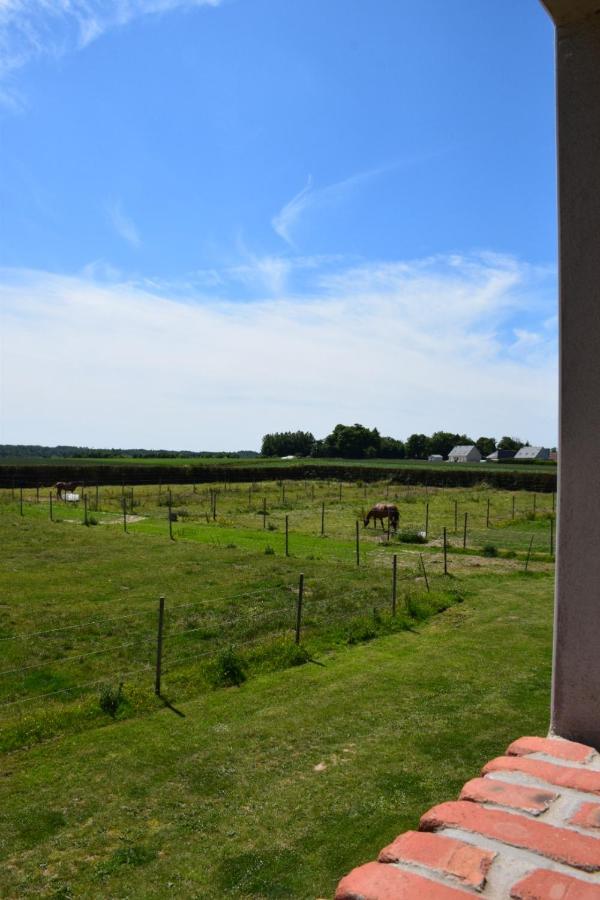 Le Clos De L'Angley Gites Et Ecurie Caffiers Exterior foto